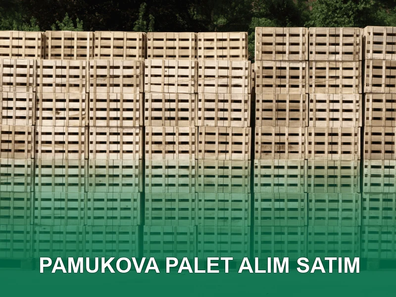 Pamukova Palet Galeri 3