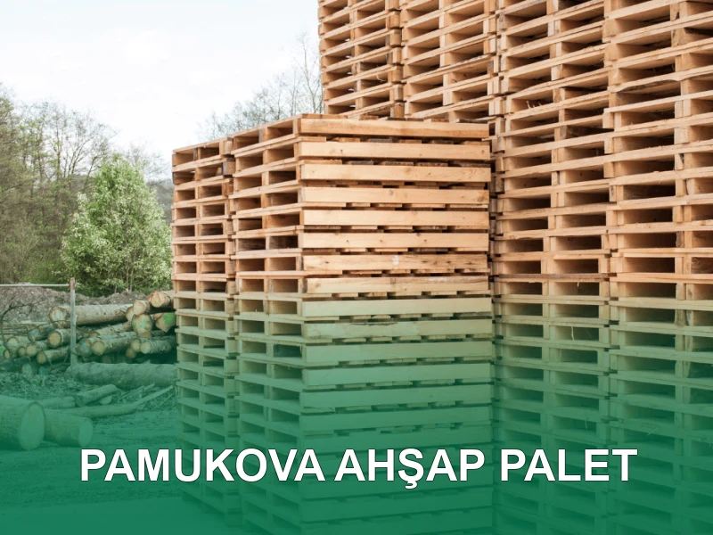 Pamukova Palet Galeri 4