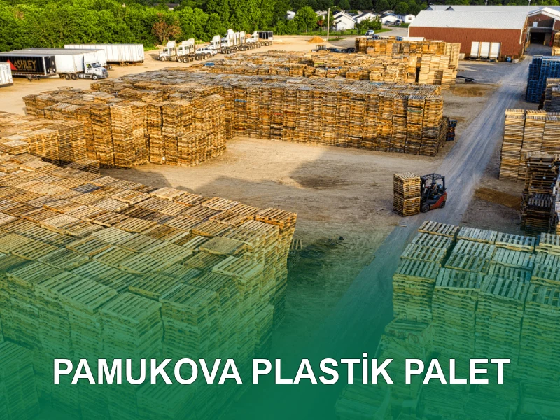 Pamukova Palet Galeri 6