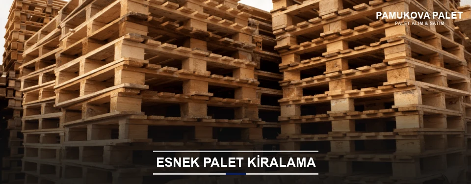 Pamukova Uygun Fiyatlı Palet Kiralama